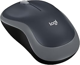 Best Top Ten Wireless Mouse (2026)