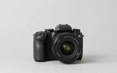 Best Cameras for Wildlife Photography