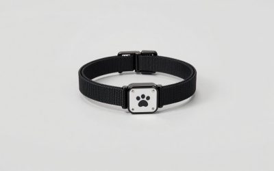 Best Smart Dog Collars for Tracking and Safety