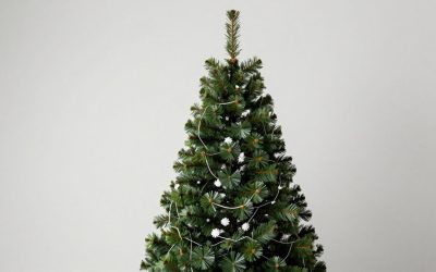 Best Christmas Tree Themes in 2026: How the Top Models Compare